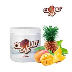 Cloud One ® 200 g HWA ( Ananas - Pêche )